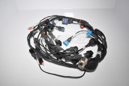 faisceau moteur a55 DS3R3