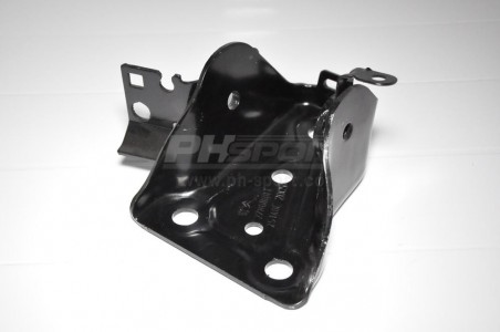 chape bras arriere gauche