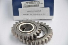 rapports de 6eme 21x26 court