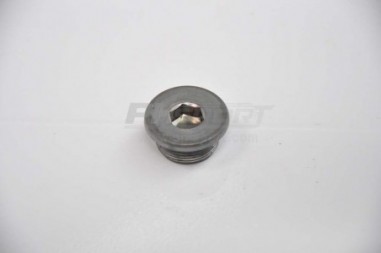 bouchon flan moteur 25x150