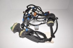 faisceau de porte passager