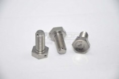 vis couronne m10x100 lg23 hgs