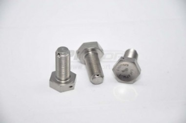 vis couronne m10x100 lg23 hgs