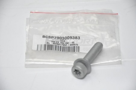 vis cx 10x150 45 alternateur