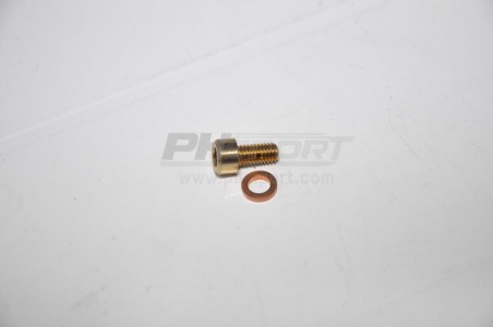 vis de purge calorstat