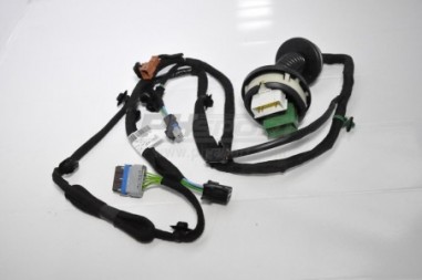 faisceau porte droite 207lw