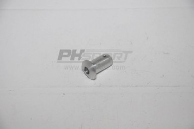 pion fixation inf radiateur