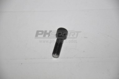 vis 10x35 usinee fix gmp