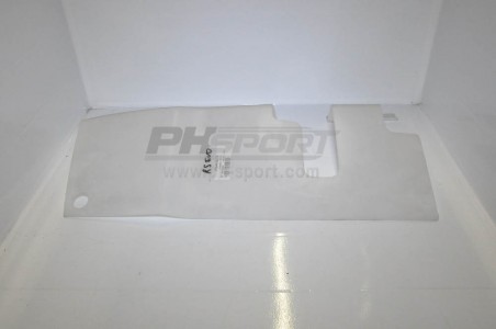 protection d ski av evo2017